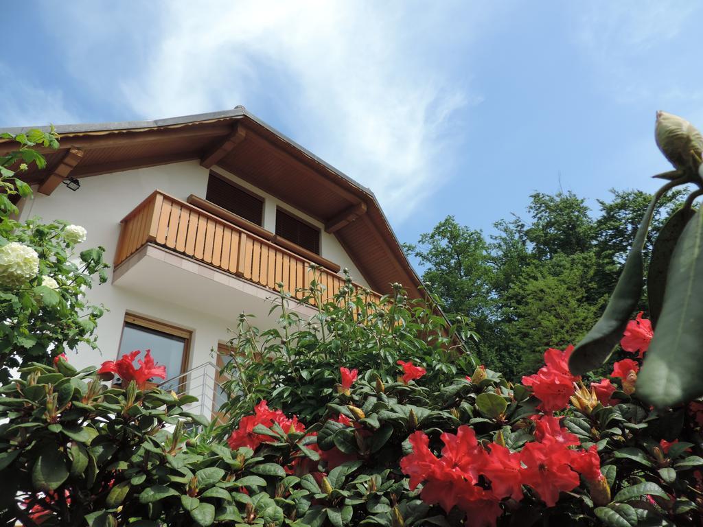 Villa Katarina Mokronog Esterno foto