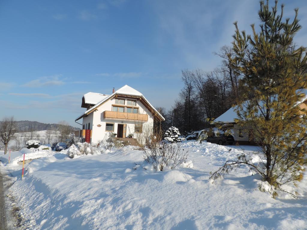 Villa Katarina Mokronog Esterno foto